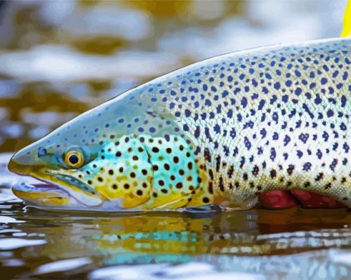 Brown Trout Fish Diamond Paintings