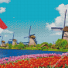 Tulips And Windmills Diamond Paintings