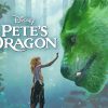 Petes Dragon Movie Diamond Paintings