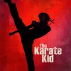 The Karate Kid Poster Diamond Paintings