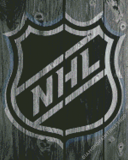 Cool NHL Logo Diamond Paintings