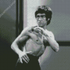 Bruce Lee Actor Diamond Paintings