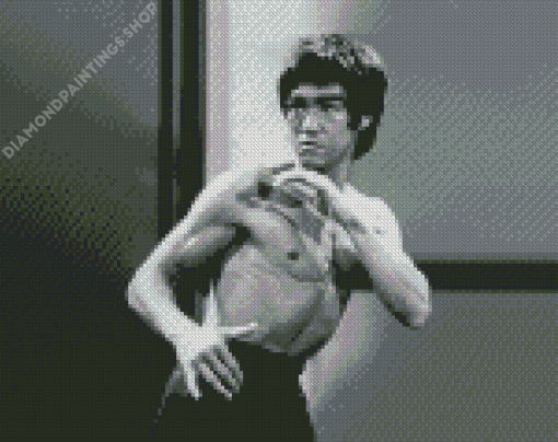 Bruce Lee Actor Diamond Paintings