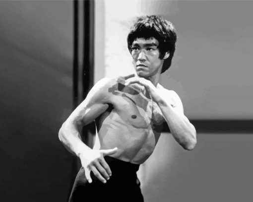 Bruce Lee Actor Diamond Paintings