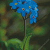 Blue Forget Me Not Diamond Paintings