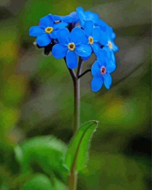 Blue Forget Me Not Diamond Paintings