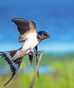 Swallow Bird On Stick diamond painting