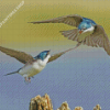 Swallow Birds Fighting diamond painting