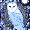 The Mystic Blue Owl diamond painting