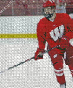 University Wisconsin Badgers Hockey Player diamond painting