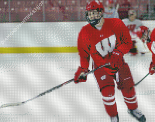 University Wisconsin Badgers Hockey Player diamond painting