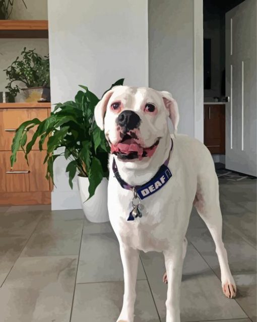 White Boxer Dog diamond painting