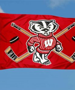 Wisconsin Badgers Hockey Flagdiamond painting