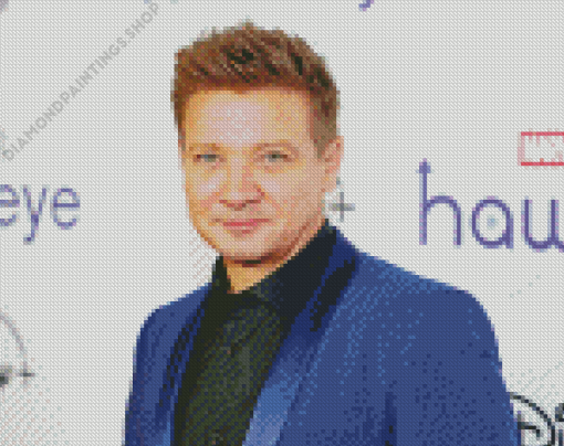 Actor Jeremy Renner diamond painting