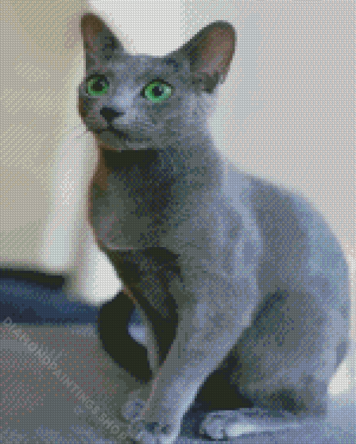 Adorable Russian Blue Cat diamond painting