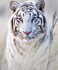 Aesthetic White Siberian Tiger diamond painting