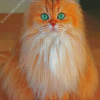 Cute Semi Longhair diamond painting