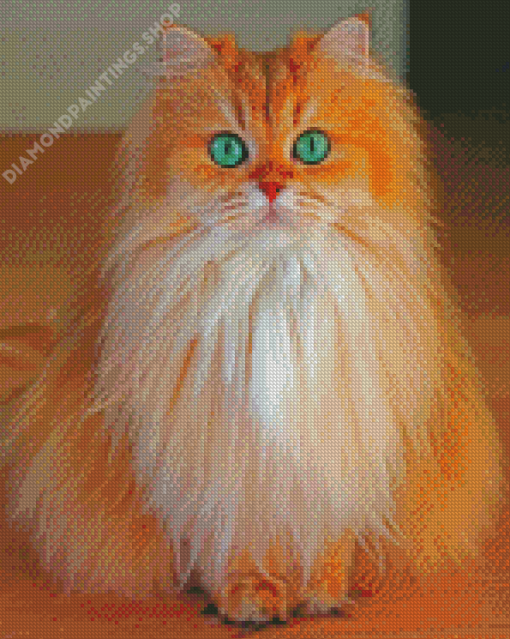 Cute Semi Longhair diamond painting