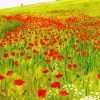 Poppies In The Field Szinyei Art diamond painting