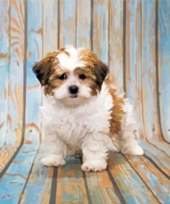 Shihpoo Dog Animal diamond painting