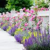 White Fence And Pink Flowers diamond painting