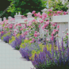 White Fence And Pink Flowers diamond painting