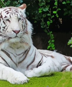White Siberian Tiger diamond painting