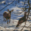 Aesthetic Deer And Turkey diamond painting