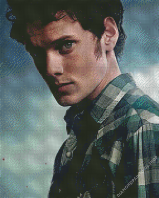 Anton Yelchin In Fright Night diamond painting