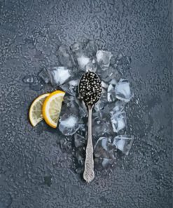 Black Caviar And Lemon diamond painting