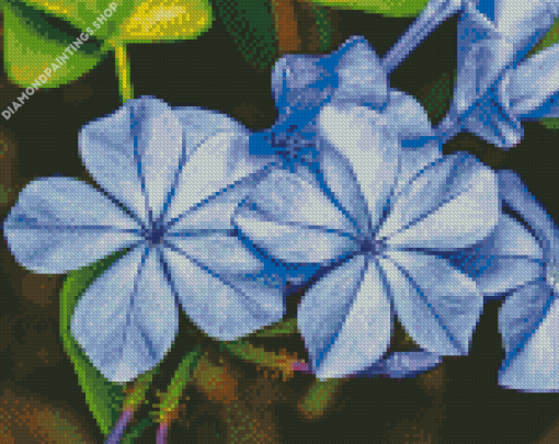 Blue Plumbago diamond painting