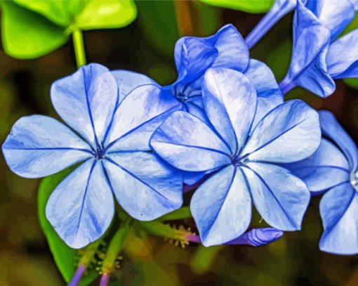 Blue Plumbago diamond painting