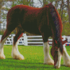 Breyer Clydesdale Horse diamond painting