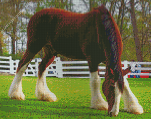 Breyer Clydesdale Horse diamond painting