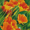 California Poppies Art diamond painting