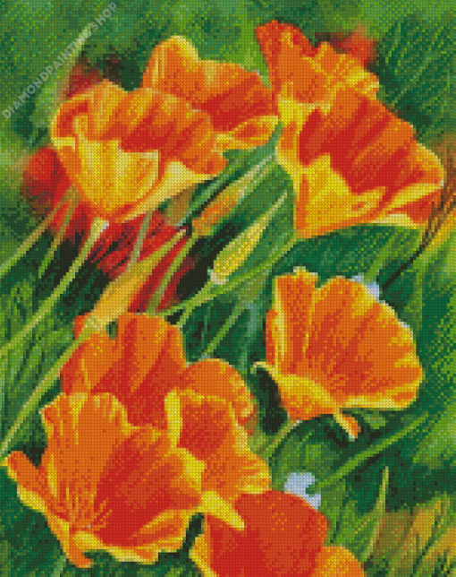 California Poppies Art diamond painting