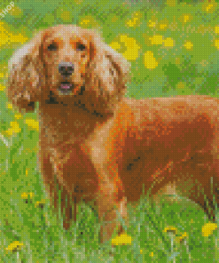 English Cocker Spaniel Dog diamond painting