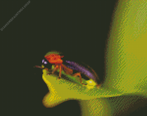 Firefly Insect diamond painting
