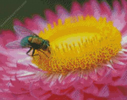 Fly On The Flowers diamond painting