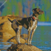 German Shorthaired Pointer Dog diamond painting