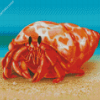 Hermit Crab Art diamond painting