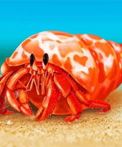 Hermit Crab Art diamond painting