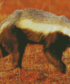 JHoney Badger Animal diamond painting