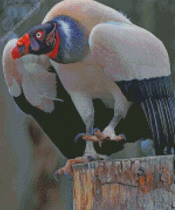 King Vulture Bird diamond painting