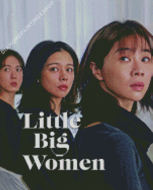 Little Big Women Movie Poster diamond painting