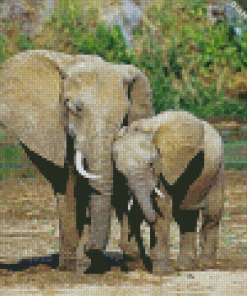 Mama And Baby Elephant diamond painting