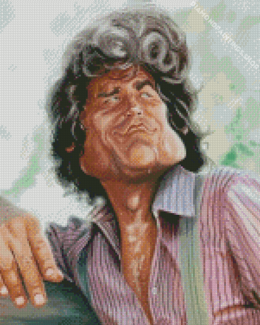 Michael Landon Caricature diamond painting