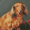 Red Dachshund Dog diamond painting
