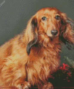 Red Dachshund Dog diamond painting