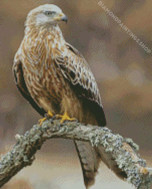 Red Kite On A Branch diamond painting